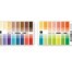 Seasonal color palette warm (true) spring