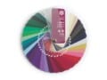 Color swatch fan deep winter